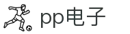 pp电子（中国）股份公司官网
